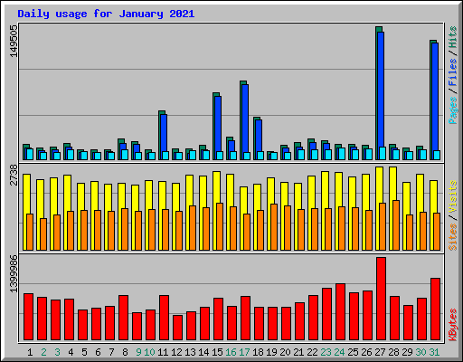 Daily usage for January 2021