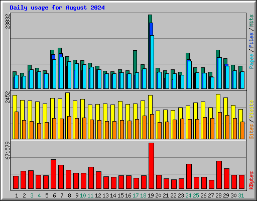 Daily usage for August 2024