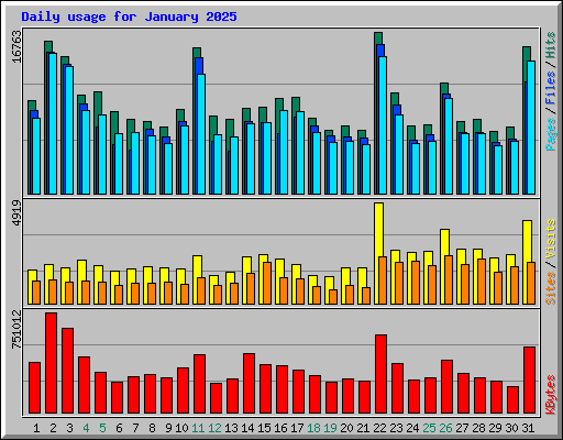 Daily usage for January 2025