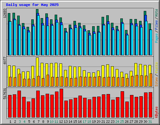 Daily usage for May 2025