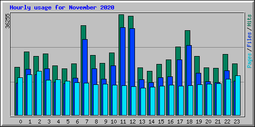 Hourly usage for November 2020