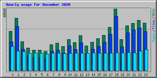Hourly usage for December 2020