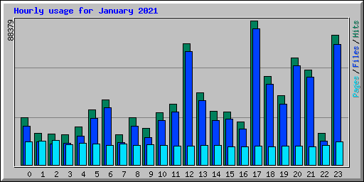 Hourly usage for January 2021