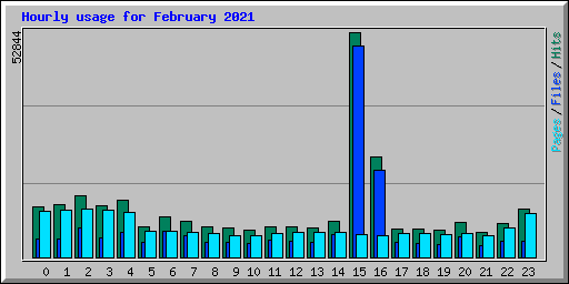 Hourly usage for February 2021