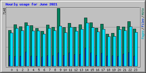 Hourly usage for June 2021