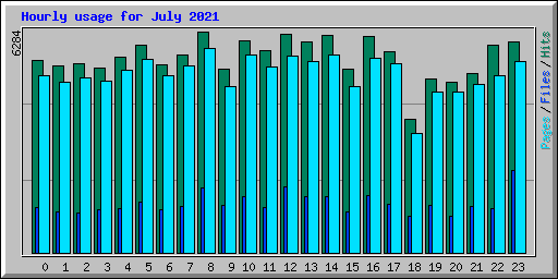 Hourly usage for July 2021