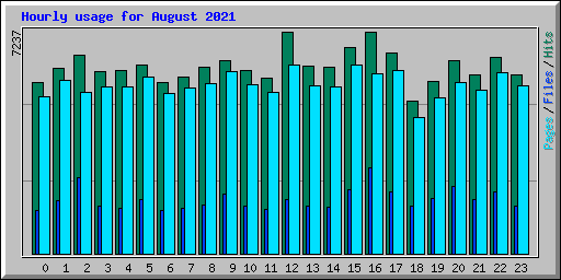 Hourly usage for August 2021
