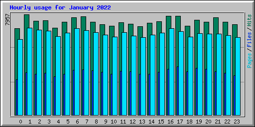 Hourly usage for January 2022