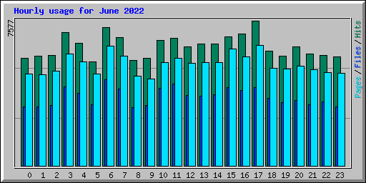 Hourly usage for June 2022