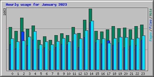 Hourly usage for January 2023