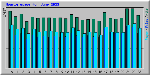 Hourly usage for June 2023
