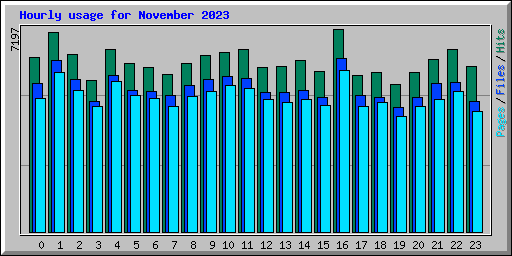 Hourly usage for November 2023