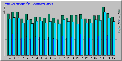 Hourly usage for January 2024