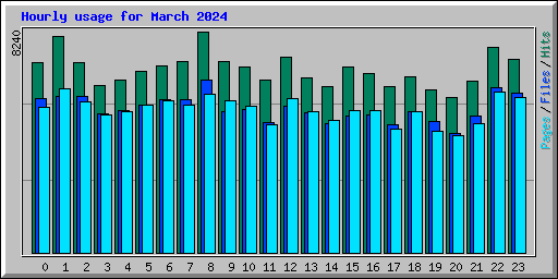 Hourly usage for March 2024