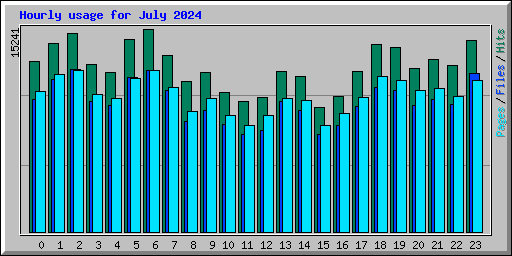 Hourly usage for July 2024