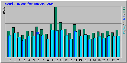 Hourly usage for August 2024