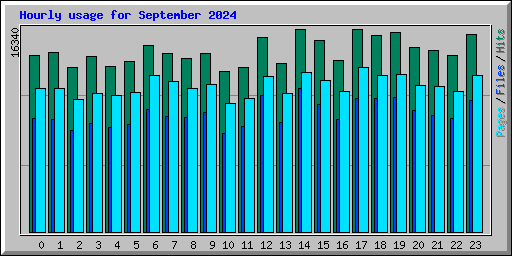 Hourly usage for September 2024