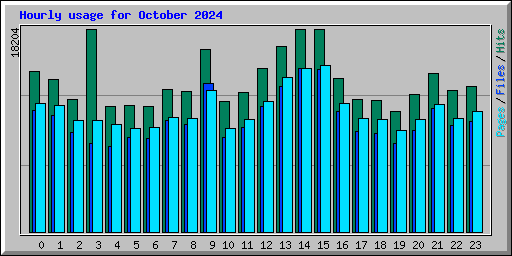 Hourly usage for October 2024
