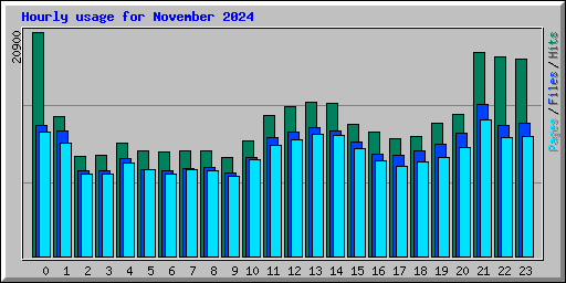 Hourly usage for November 2024