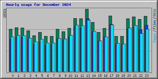 Hourly usage for December 2024