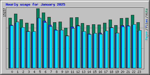Hourly usage for January 2025
