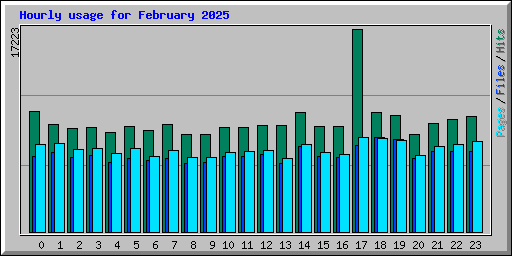Hourly usage for February 2025