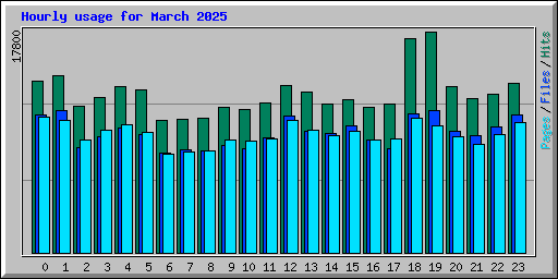 Hourly usage for March 2025