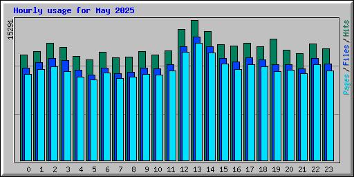 Hourly usage for May 2025