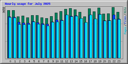 Hourly usage for July 2025