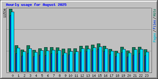 Hourly usage for August 2025