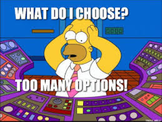 Homer Simpson too many options