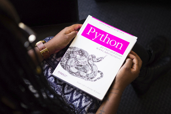 Python book